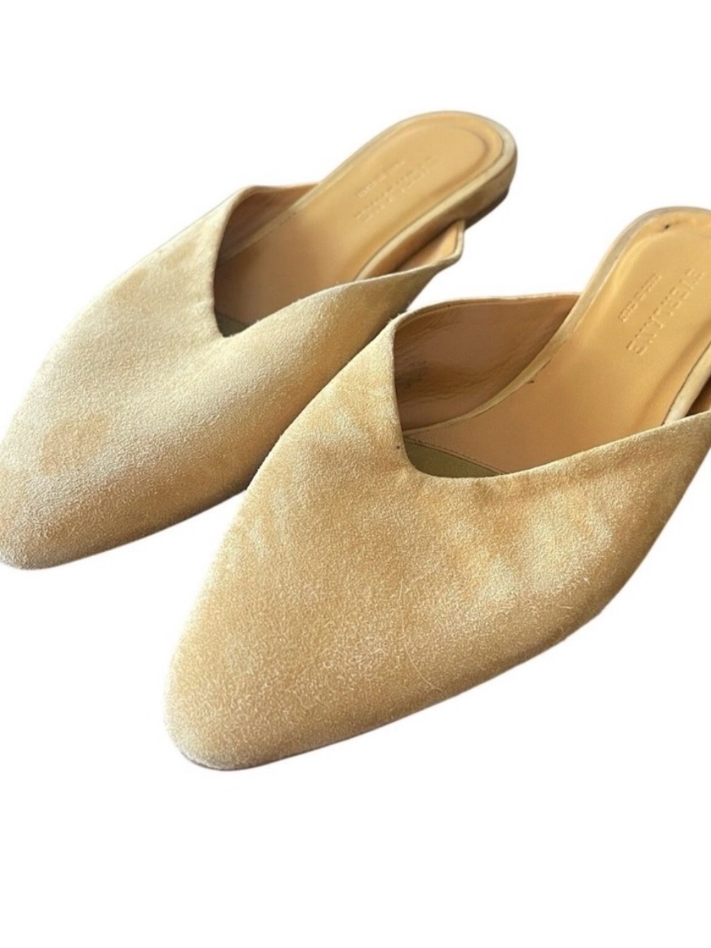 Everlane Pointed Slide Yellow Mules Sz 6.5 Minimalist